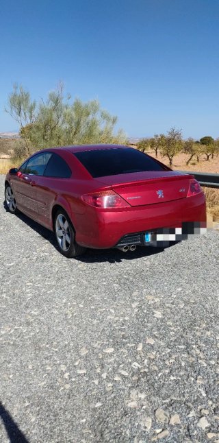 Peugeot 407 2007