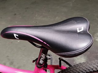 Bicicleta Montaña Rosa
