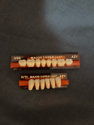 Dientes inferiores de acrilico par prótesis dental
