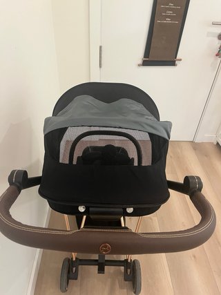 Cybex Carrito Bebé: Capazo, Silla y Grupo 0