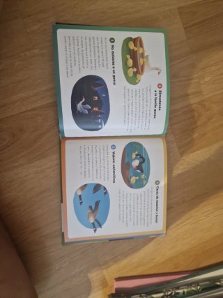 Animales salvajes y domésticos