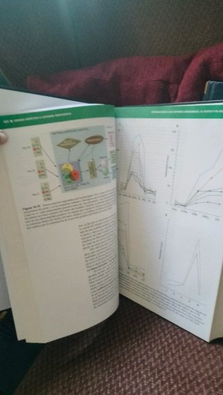 Fundamentos Biológicos de la Conducta