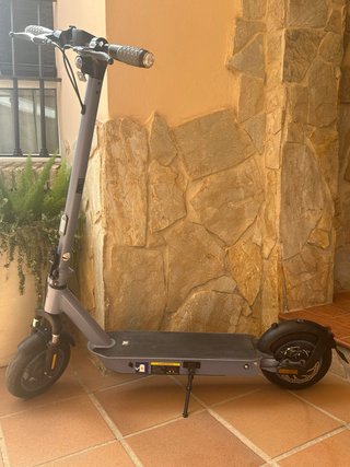 Patinete Eléctrico Zwheel Zfox Max Gris