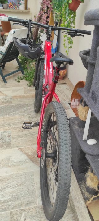 Bicicleta Trek Procaliber 29