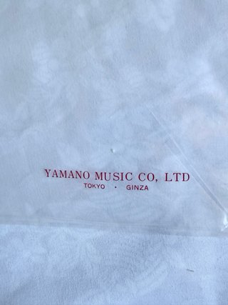 Vinilo Super Mario Bros raro Japón