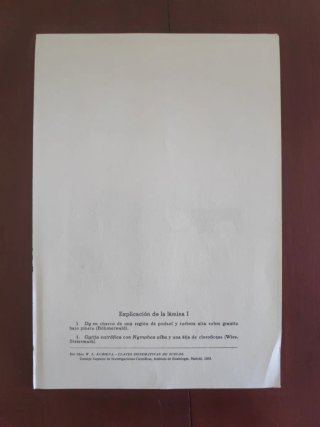 Láminas del Atlas de perfiles de suelos de Kubiëna