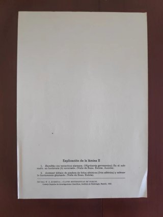 Láminas del Atlas de perfiles de suelos de Kubiëna