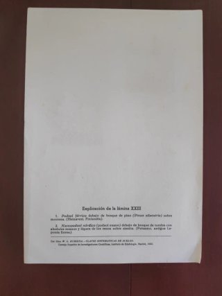 Láminas del Atlas de perfiles de suelos de Kubiëna