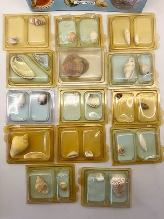 Colección Conchas del Mundo Orbis Fabri
