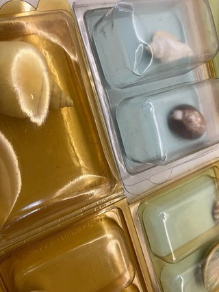 Colección Conchas del Mundo Orbis Fabri