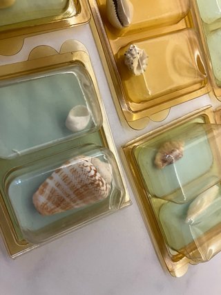 Colección Conchas del Mundo Orbis Fabri