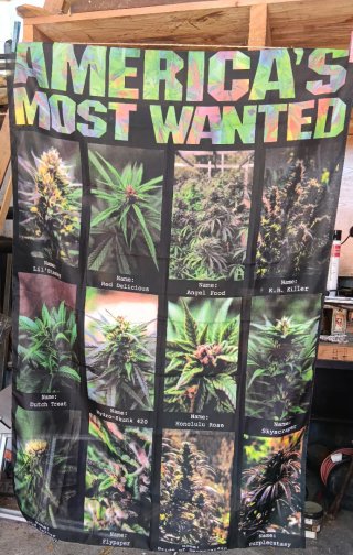 Bandeira America's Most Wanted