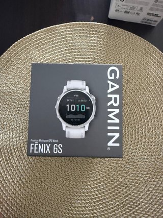 Garmin Fenix 6S Plata/Blanco