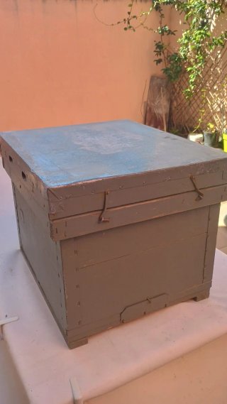 Colmenas Dadant y medias alzas