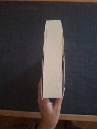 La cabeza de la Gorgona