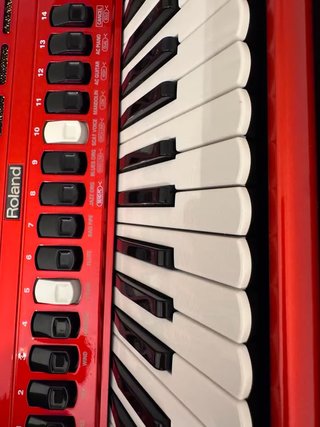 Acordeón Roland FR-5 con Accesorios