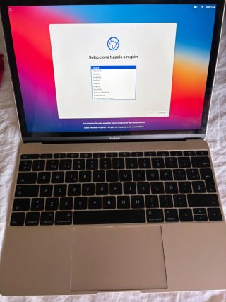 Apple A1534 MacBook Oro/Plata