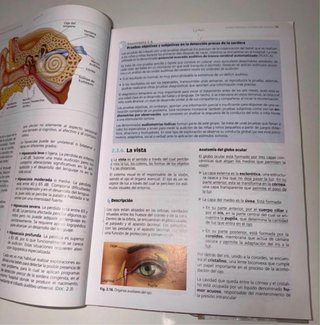 Desarrollo cognitivo y motor