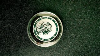 Tokelau 2022 Zodiaco Vergine 5 Dollari 1 Oz Argento