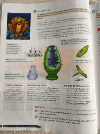 Biología y Geología 1º ESO. Libro del estudiant...