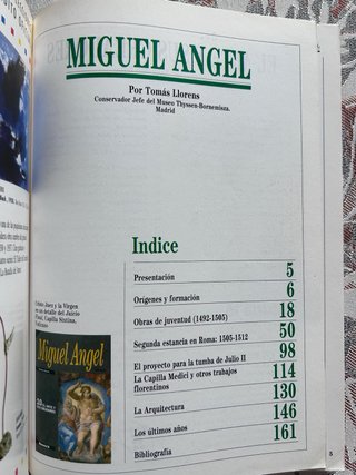 Miguel Angel. Tomás Llorens.