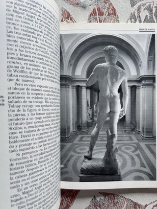 Miguel Angel. Tomás Llorens.