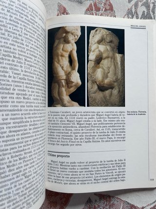 Miguel Angel. Tomás Llorens.