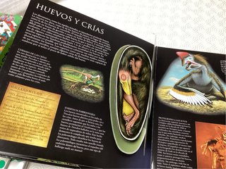 Pack 2 libros que salen los dinosaurios y la piel