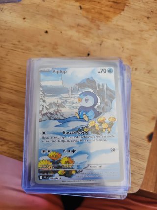 Lote de cartas pokemon