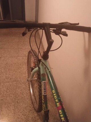 Bicicleta Jumper Trek Rider Bike