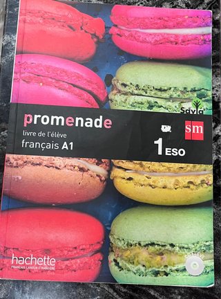 Dos libros tecnología y frances