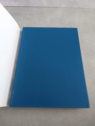 DICCIONARIO DE LOS CÓMICS. Javier Coma