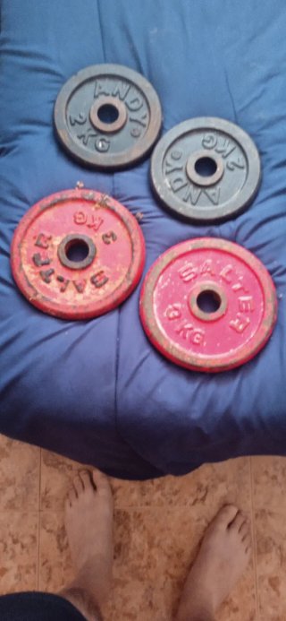 Pesas de entrenamiento con discos