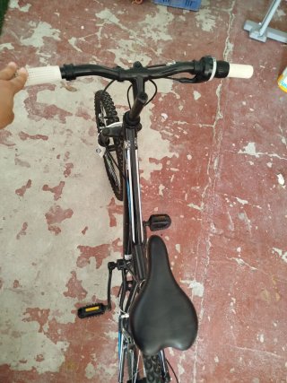 Bicicleta 20 pulgadas