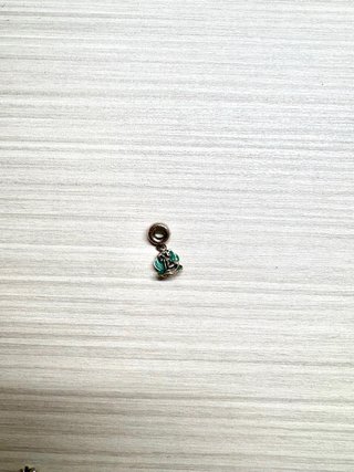 10 Charms diferentes pandora