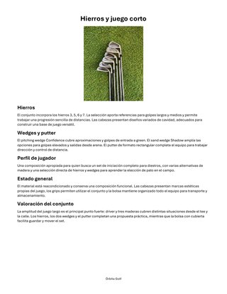 Set de Palos de Golf Wilson y Dunlop