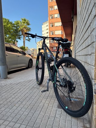 Bicicleta Megamo Natural 29