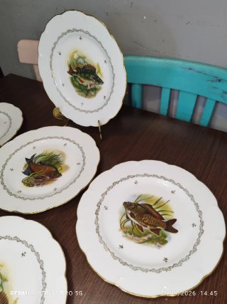 LIMOGES 6 Platos Porcelana Francesa VINTAGE
