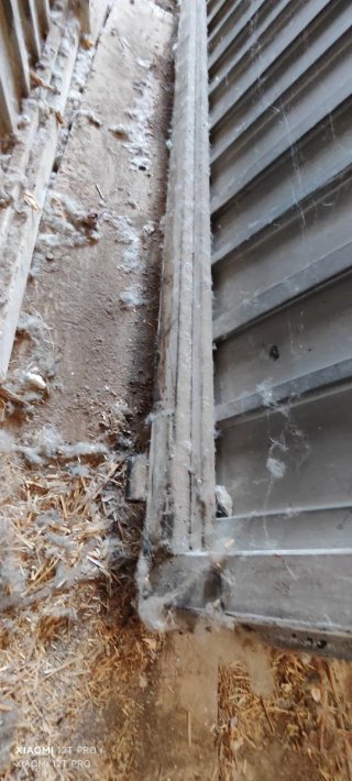 PUERTA METÁLICA EXTERIOR ABATIBLE 2 CUERPOS