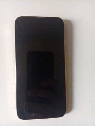 iPhone 13 Pro 256GB Dorado/Plateado