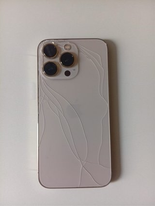 iPhone 13 Pro 256GB Dorado/Plateado
