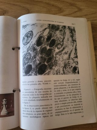 Archivos de Pediatría - Marzo-Abril 1973