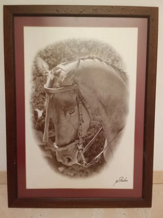 Cuadro de Caballo con Marco de Madera y Cristal