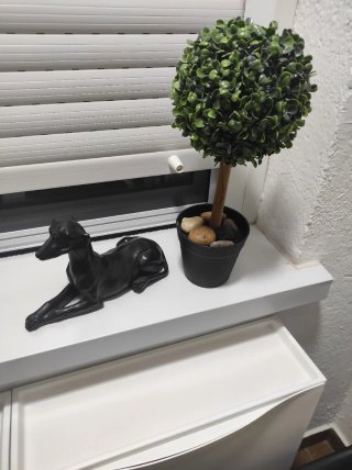 Juego de 2 sillas negras con cojines