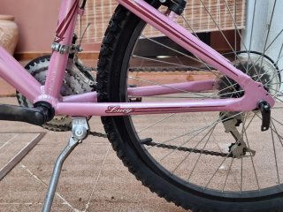 Bicicleta Coluer Lucy 24 pulgadas Rosa