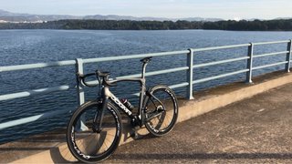 Pinarello Dogma F12 - talla 55