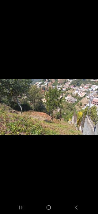 Terreno urbanización Cesalpina Torrelles Llobregat