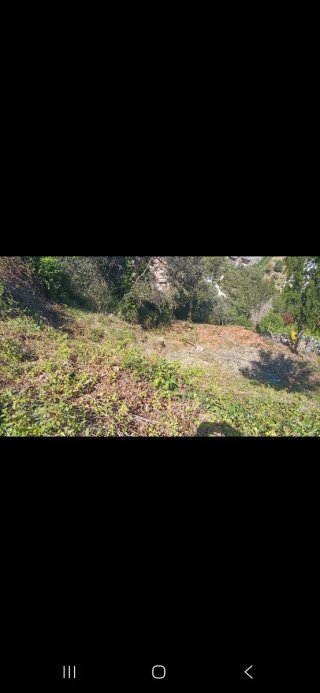 Terreno urbanización Cesalpina Torrelles Llobregat