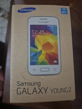Samsung Galaxy Young 2