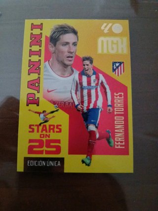 Cromo Panini Fernando Torres Liga Megacraks
